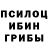 Псилоцибиновые грибы GOLDEN TEACHER Lolka Dolka