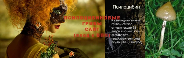 соль ск Абдулино