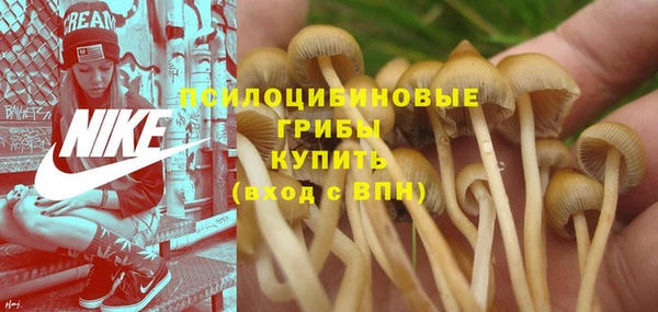 MESCALINE Абинск